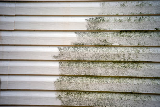 Best Carpet Removal and Disposal  in Orange Blossom, CA